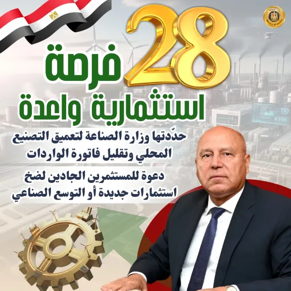 خطة مصر الصناعية: 28 مشروعًا واعدًا لتوطين التكنولوجيا وتقليل الفاتورة الاستيرادية