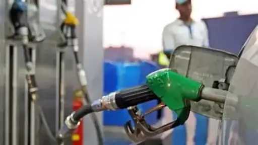 تقارير وتغطية لايف