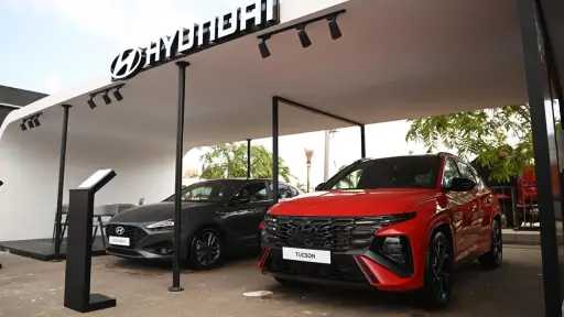 تقارير وتغطية لايف