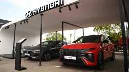 تقارير وتغطية لايف