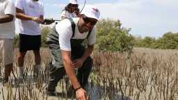 اويل اند جاز